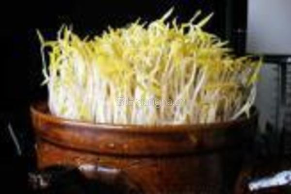 砂锅生绿豆芽的做法图解11