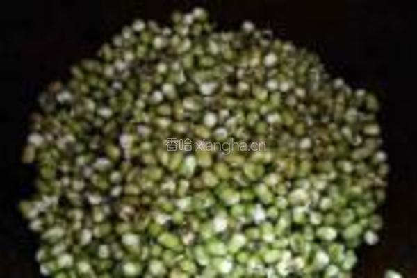 砂锅生绿豆芽的做法图解4