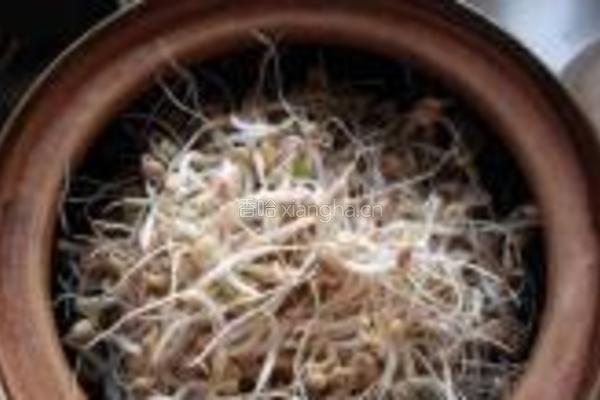 砂锅生绿豆芽的做法图解8