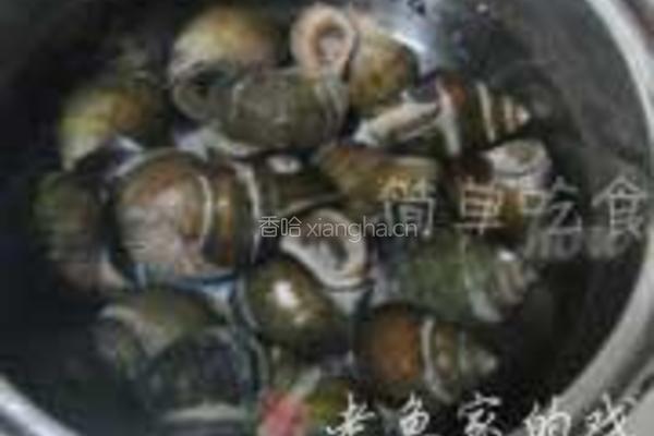 田螺酿的做法图解1