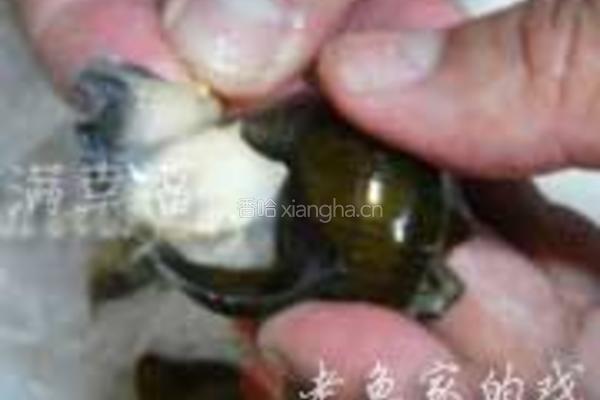 田螺酿的做法图解2