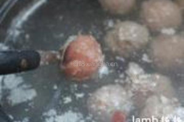 牛肉丸的做法图解12