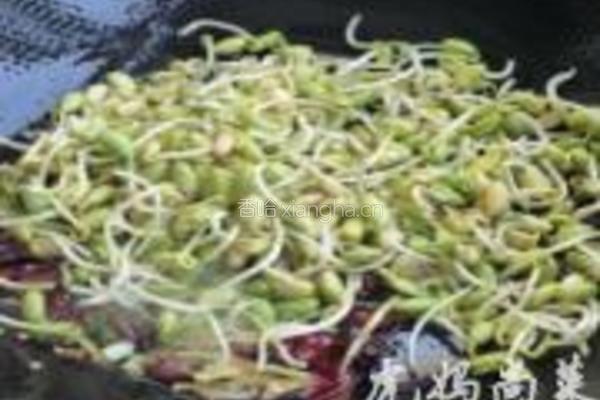 干煸黄豆芽的做法图解4
