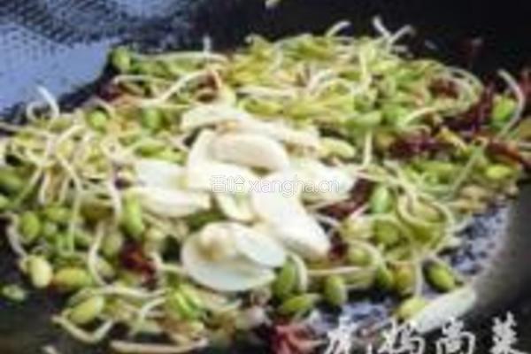 干煸黄豆芽的做法图解5