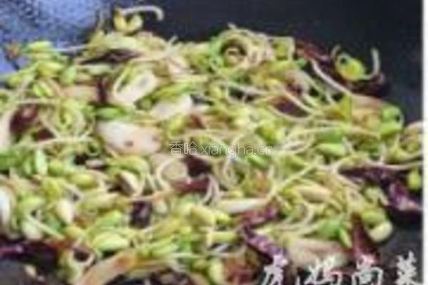 干煸黄豆芽的做法图解6