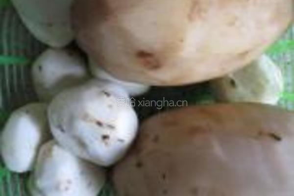 莲藕马蹄蒸肉的做法图解2