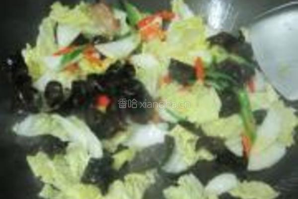 双椒炒素菜的做法图解4
