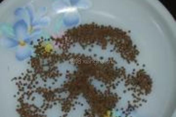 桔皮熏豆茶的做法图解11