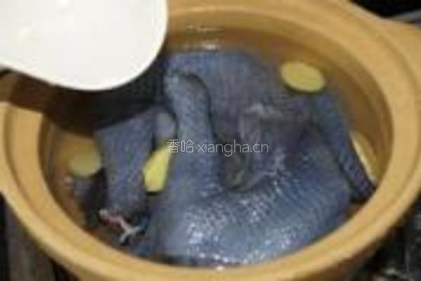 盐焖乌鸡的做法图解4