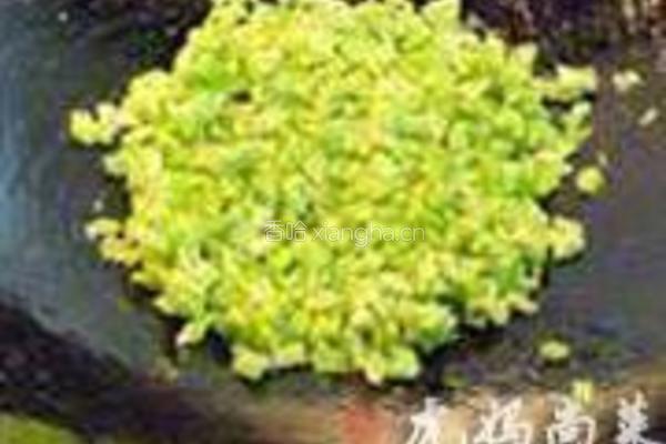 苦瓜胡萝卜蛋饼的做法图解7