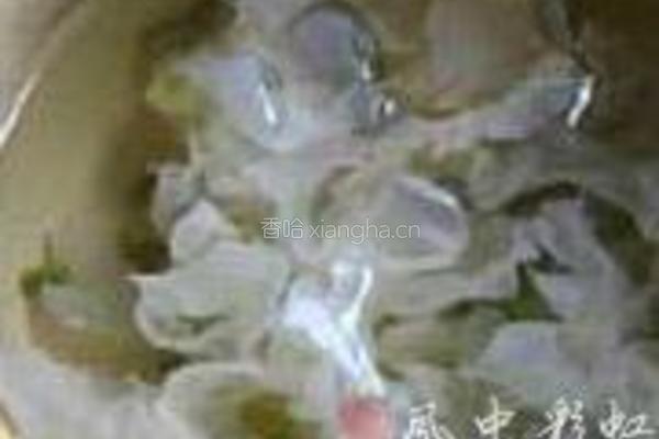 铁皮石斛银耳羹的做法图解3