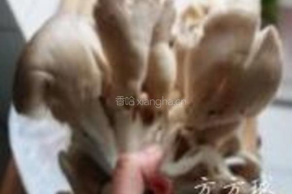 平菇炒鲜蔬的做法图解1
