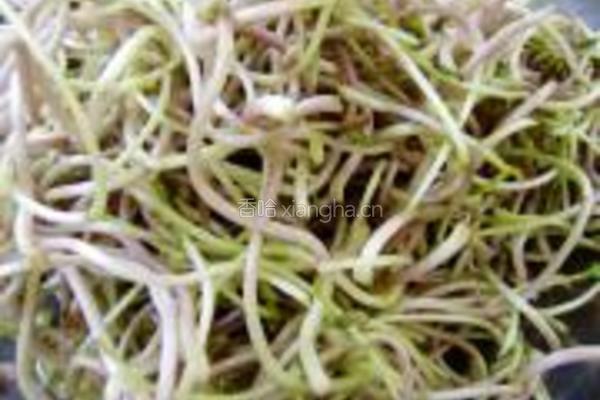 绿豆芽炒粉的做法图解1