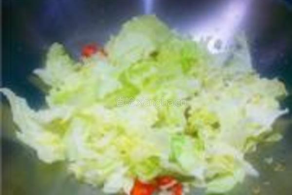 黑胡椒炒手撕包菜的做法图解5