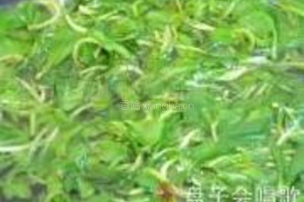 凉拌香干马兰头的做法图解4
