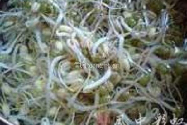 水煮豆花鱼的做法图解3
