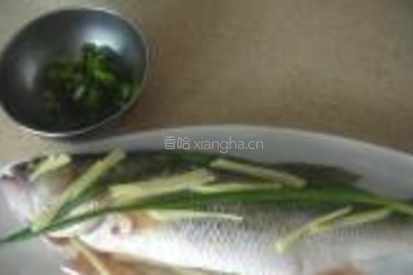 蒸鲈鱼的做法图解3
