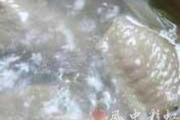简易鸡翅汤的做法图解3