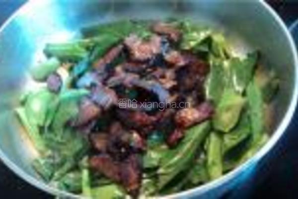 腊肉炒芥兰的做法图解6