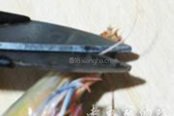 白灼虾的做法图解1
