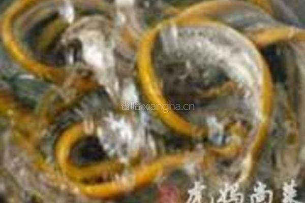 辣炒鳝片的做法图解4