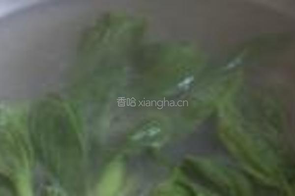 菊花香菇的做法图解7