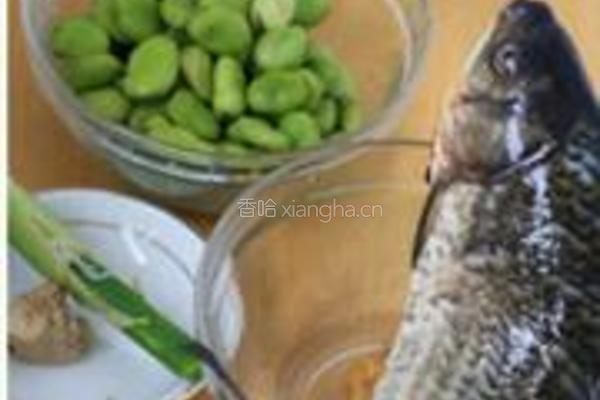 沙锅鲫鱼蚕豆汤的做法图解1