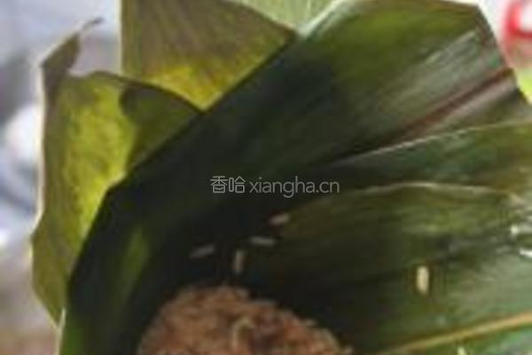 传统红豆沙粽子的做法图解7