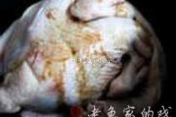 花雕归参鸡汤的做法图解7