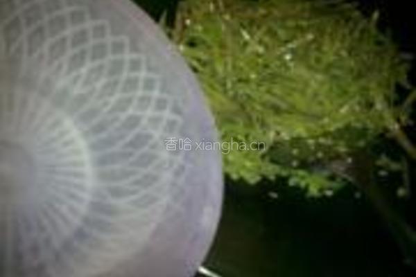 小炒扁豆丝的做法图解4