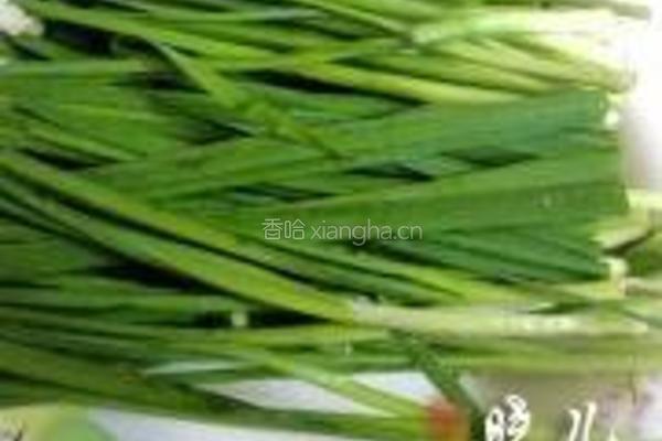 青韭炒河虾的做法图解2