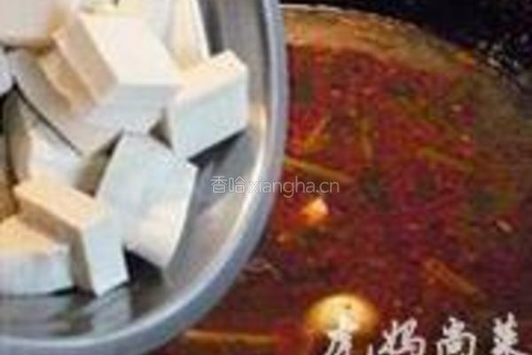 红烧羊肉豆腐的做法图解4