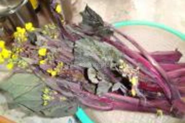 腊肉炒红菜苔的做法图解1