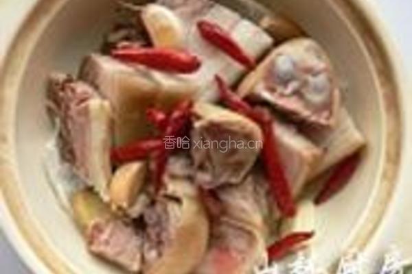砂钵狗肉的做法图解3