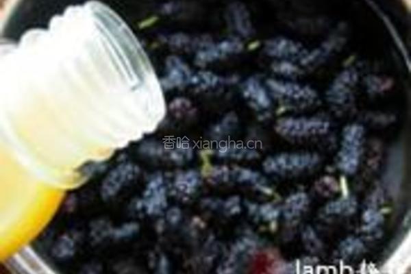 桑葚果酱的做法图解4