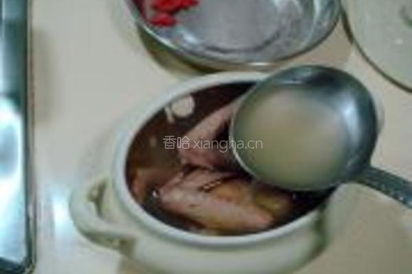 淮杞黄精炖乳鸽的做法图解13