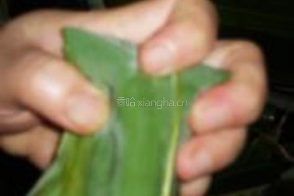 红豆粽子的做法图解7