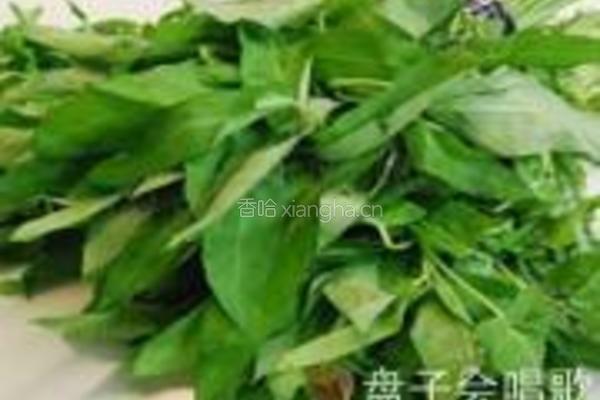 虾味菜汁凉皮的做法图解2