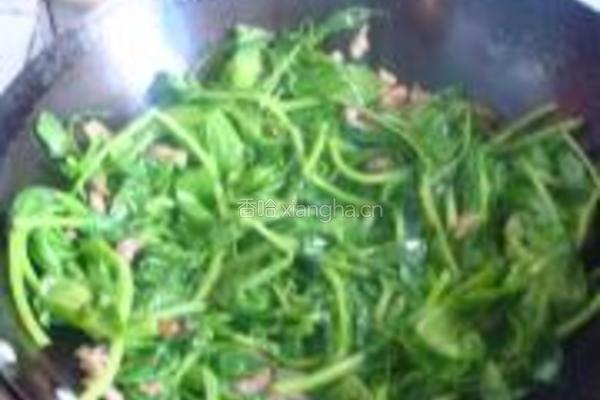 碗豆尖炒肉的做法图解4