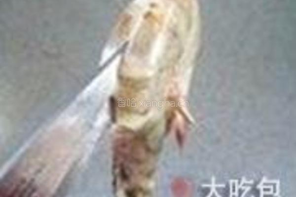 干锅香辣虾的做法图解1