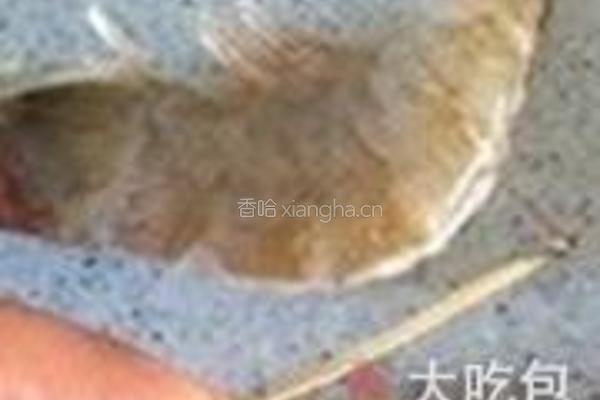 干锅香辣虾的做法图解2