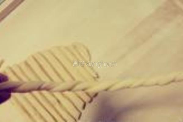 蜂蜜鸡蛋小麻花的做法图解9