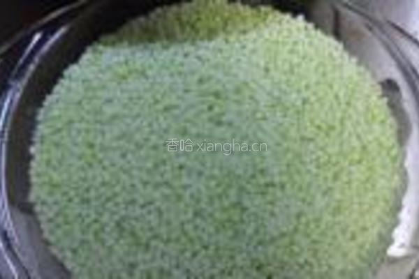 紫薯水晶粽的做法图解6