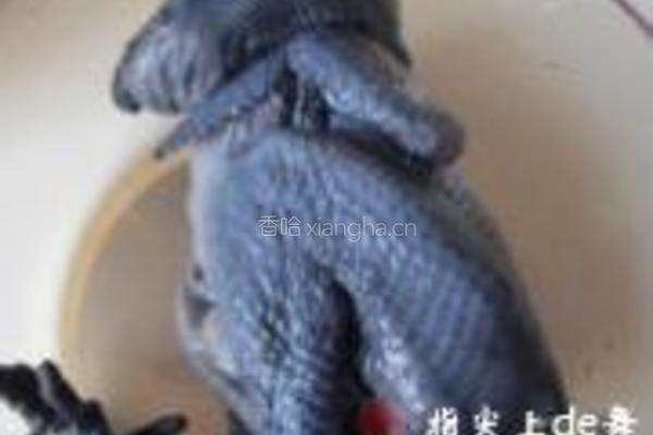 乌鸡鹌鹑蛋汤的做法图解5