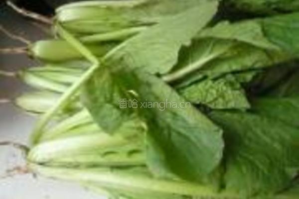 虾炒小白菜的做法图解1