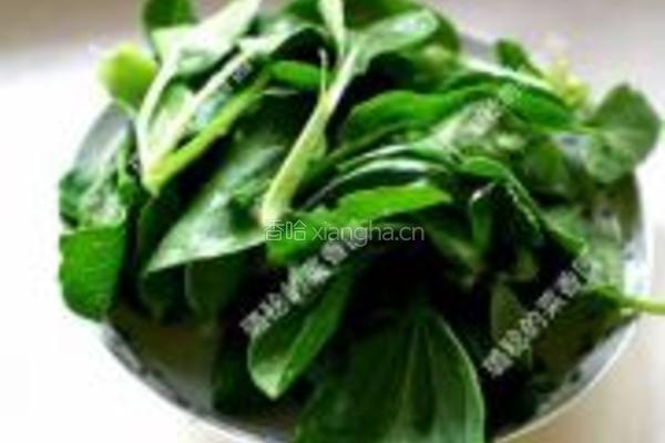 水煮肉片的做法图解6