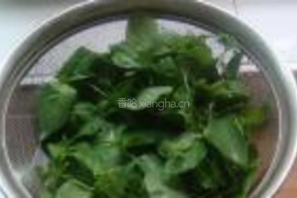 凉拌荆芥的做法图解1