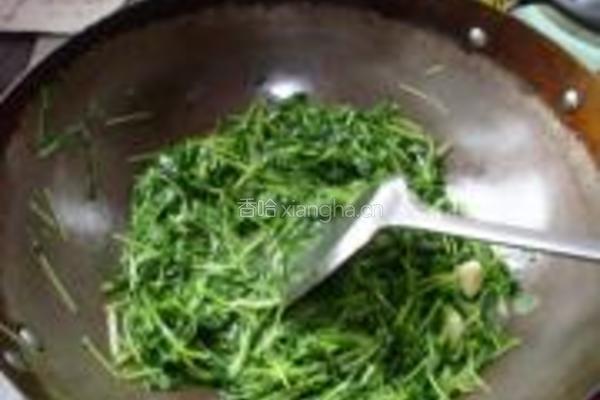 素炒豌豆苗的做法图解9