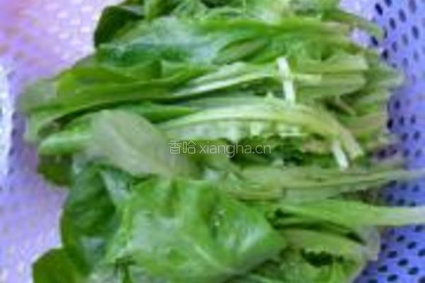 蒜蓉油麦菜的做法图解1