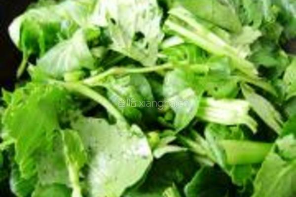 腐竹烧油菜的做法图解5
